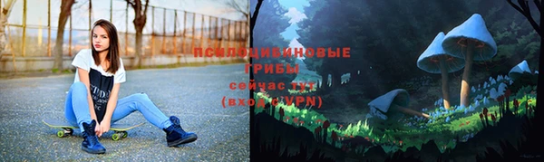 молекула духа Арсеньев