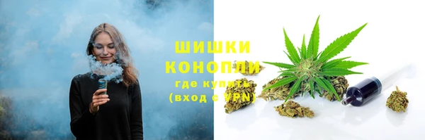 Альфа ПВП Аркадак