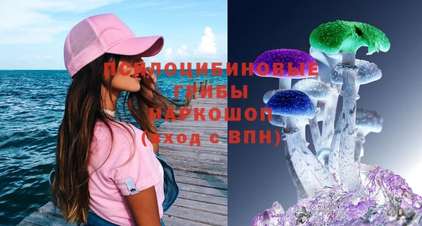 молекула духа Арсеньев