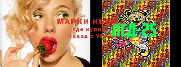 Альфа ПВП Аркадак