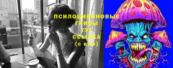 Альфа ПВП Аркадак