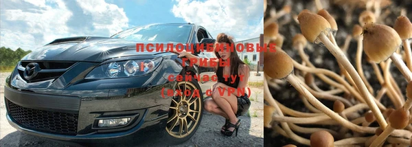 мдма Осташков